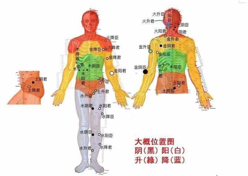 Illustrierte Seite aus einer vereinfachten Ausgabe des Huang di Nej Jing
