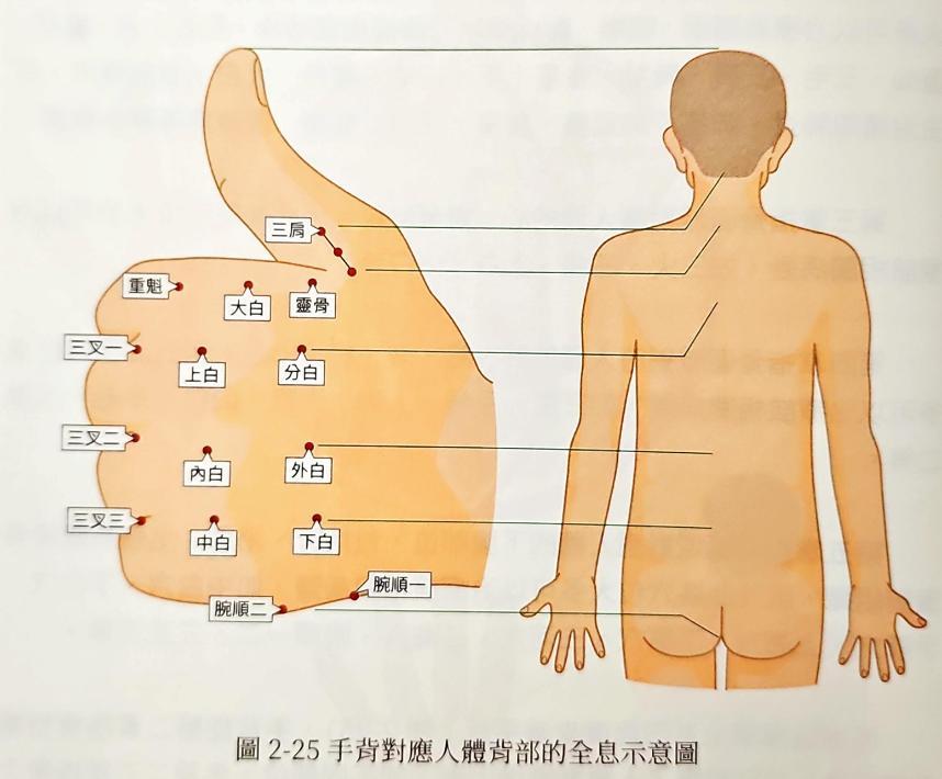 Illustrierte Seite aus einer vereinfachten Ausgabe des Huang di Nej Jing